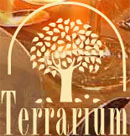 terrarium_ch
